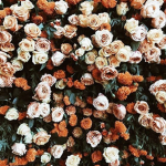 • Floral •