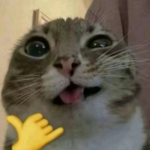 Oof sqaud :p