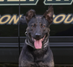 WV K9 DEPT