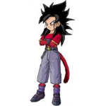 THE SUPER SAIYANS!