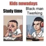 Roblox bird fans
