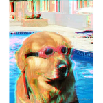 -Dog’s Squad-