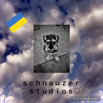 Schnauzer Studios