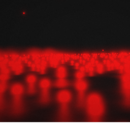 The Rain Falls Red