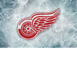 The ####### red wings super ultra fans!