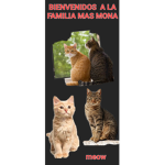 La familia gatito