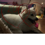 Best friends forever everrrrrrrrrrr