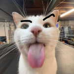 BenaKGN