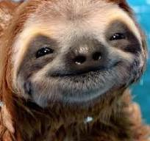 VIP Sloths Hangout