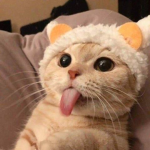 awhxlia