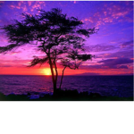 peachy sunset