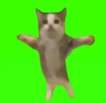 動画班Melonsグループ