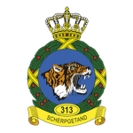 313 Squadron.