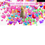 UwUz UvU