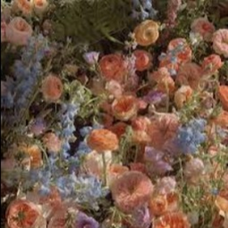 🌷