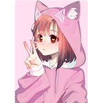 The cute kitty’s squad