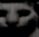 The Scary Cat Cult