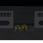 The Official Dog Frog Cult