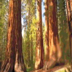 The Forest