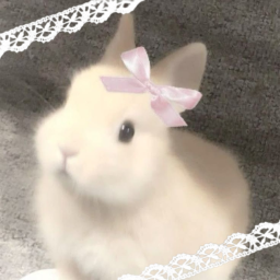 ⋆˚✿˖°