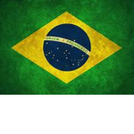 Brazillian Community Of Roblox (BCoR)