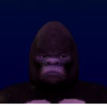 Squad of Monkeys