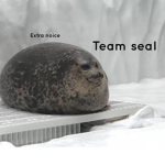 Team Seals