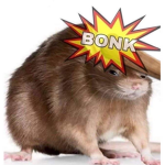 BONK GANG ZOぞ