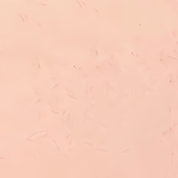 ୨♡୧
