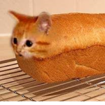 Los Gatopan