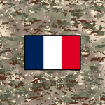 thatfrenchgroup
