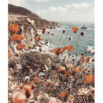 ᴄᴏᴍғʏ.ᴄᴏ