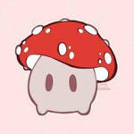 •Official•mushroom•