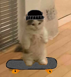 <<THE MEME GROUP>>