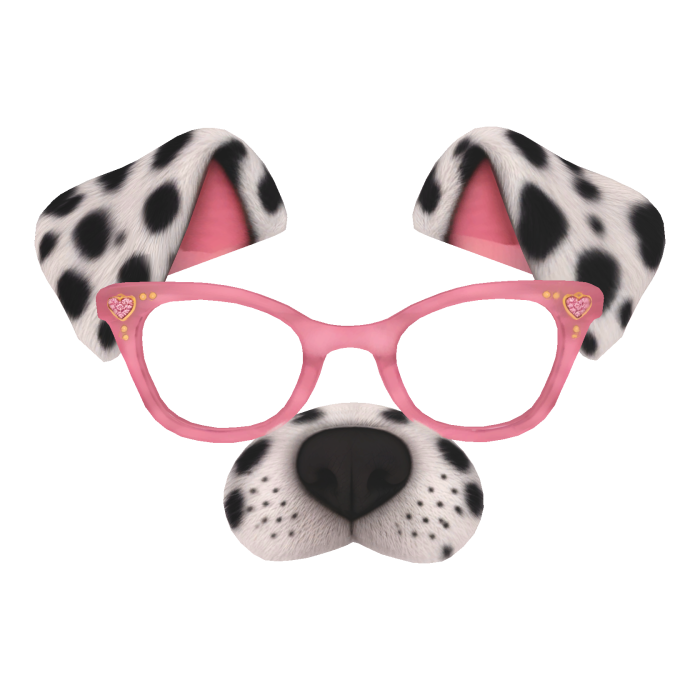 Dog Filter