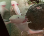 #unicornsqaud!