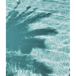 ♡︎