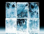 #ICEBLOCKSARMY