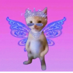 * Star Designs *