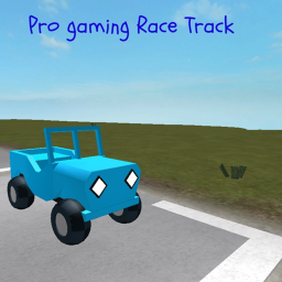 Pro gaming Race Track