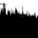 Figure's Forest