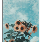 Cloudy bxlla’s boutique