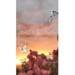 Noah’s Aesthetic <3