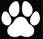 club furry brasil
