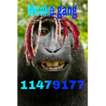 Dahood gang 2