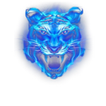 Royal tigers football