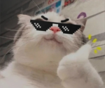 LiamMarket