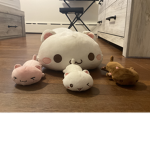 MiaXmisty group