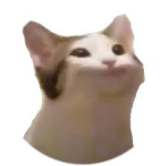 Pop cat memes