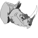Rhino Warriors
